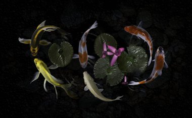 Yeşil bitkilerle suni havuzlarda koi balığı.