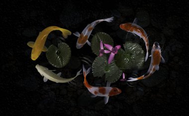 Yeşil bitkilerle suni havuzlarda koi balığı.