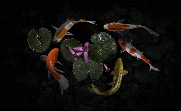 Yeşil bitkilerle suni havuzlarda koi balığı.