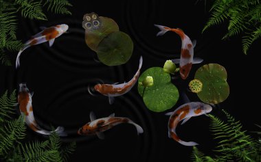 Yeşil bitkiler ve nilüfer çiçekleriyle dolu bir gölde koi balığı.