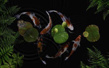 Yeşil bitkiler ve nilüfer çiçekleriyle dolu bir gölde koi balığı.