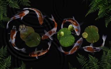 Yeşil bitkiler ve nilüfer çiçekleriyle dolu bir gölde koi balığı.