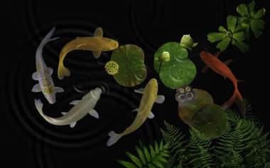 Yeşil bitkiler ve nilüfer çiçekleriyle dolu bir gölde koi balığı.