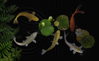 Yeşil bitkiler ve nilüfer çiçekleriyle dolu bir gölde koi balığı.