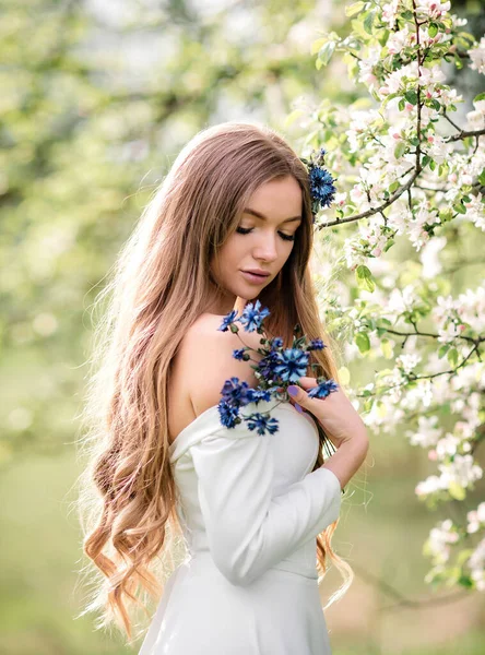 Uma Jovem Senhora Atraente Vestido Branco Com Cornflowers Campo Caminha — Fotografia de Stock