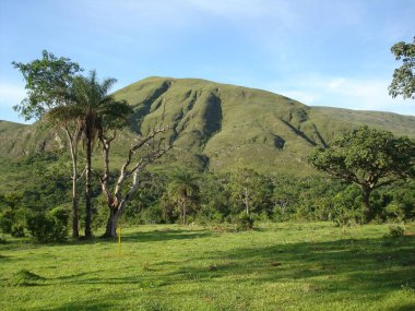 Minas Gerais, Brezilya 'nın güzel manzaralı kır yollarında yürüyorum.
