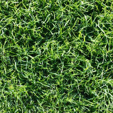 sorunsuz çim arka plan