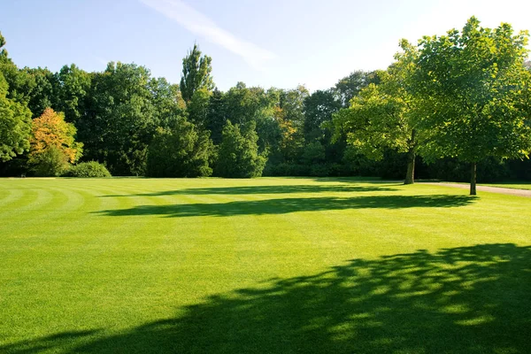 Sommaren parkera landskap — Stockfoto