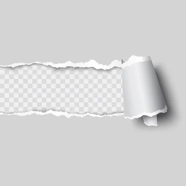 Papel rasgado vectorial — Vector de stock