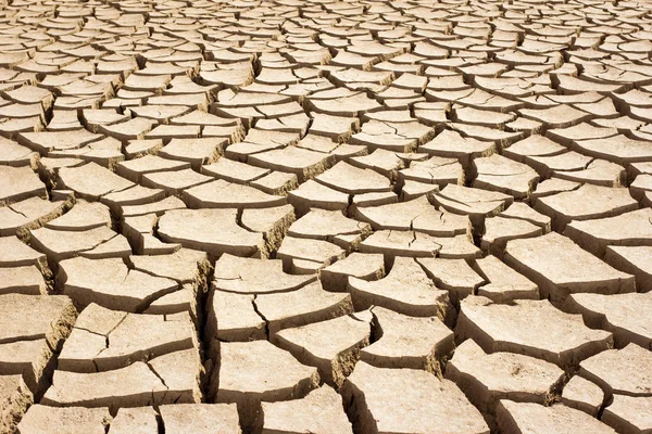 Fondo de tierra agrietado —  Fotos de Stock