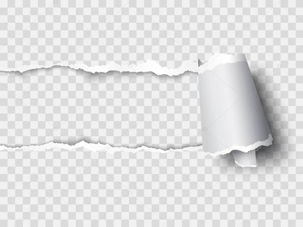 vector ripped paper