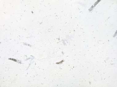 Kurumuş bitki arkaplan dokusuna sahip el yapımı kağıt.