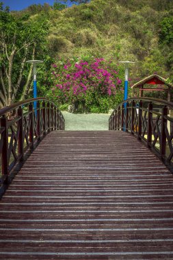 Vininci Adası 'ndaki bahçeleri aşan köprü - Vietnam