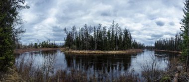 Irkutsk bölgesi, Sibirya ormanları, Chona nehri.