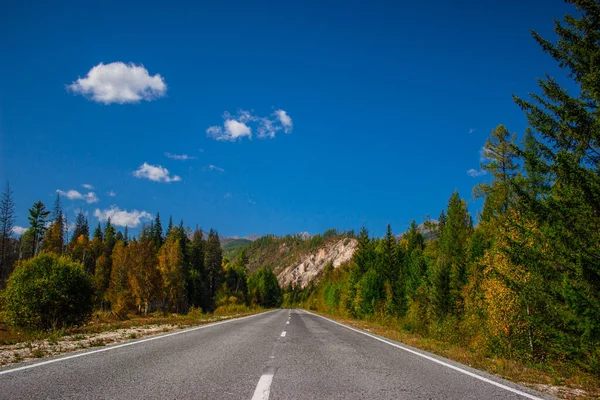 Irkoutsk Arshan Route Asphaltée Travers Les Forêts Journée Chaude Automne — Photo