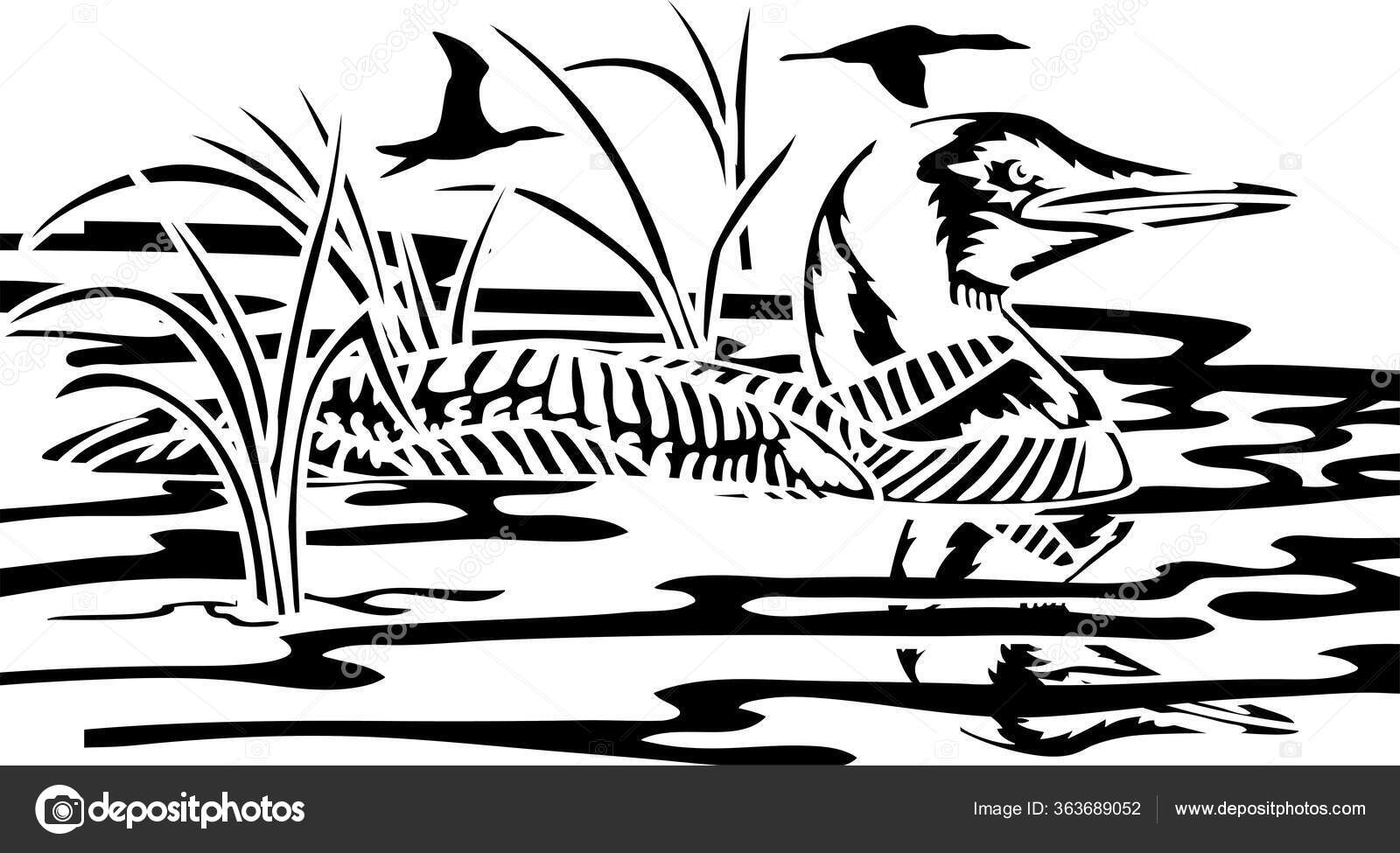 Loon Lake Vector Art Stock Vector Image by ©jasonhenrylives@yahoo.com