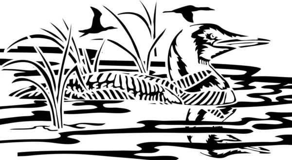 Loon Lake Vector Art — стоковий вектор