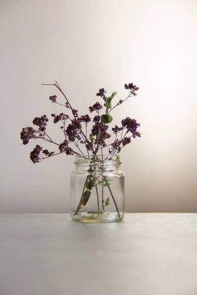 A bouquet of dried thyme flowers in a transparent bowl on a gray background.
