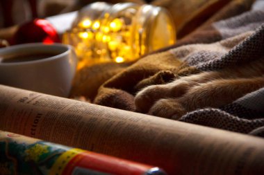 Ekose bir battaniyenin üzerinde kızıl kedi patileri, bir fincan kahve, kavanozda bir Noel çelengi ve ambalaj kağıdı var.