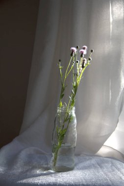 Tarım çiçekleriyle dolu bir sürahi parlak güneş ışınlarıyla beyaz bir kumaşın üzerinde duruyor..