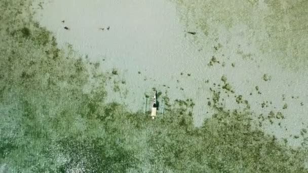 Drohne Aus Der Vogelperspektive Von Lokalen Banca Boot Seichtem Lagunenwasser — Stockvideo