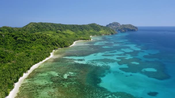 空中ドローン カドラオ島は 海岸線に沿って手付かずの熱帯の砂浜の映像を明らかにします浅いターコイズブルーの水植物のヤシの木エル パラワン フィリピン — ストック動画