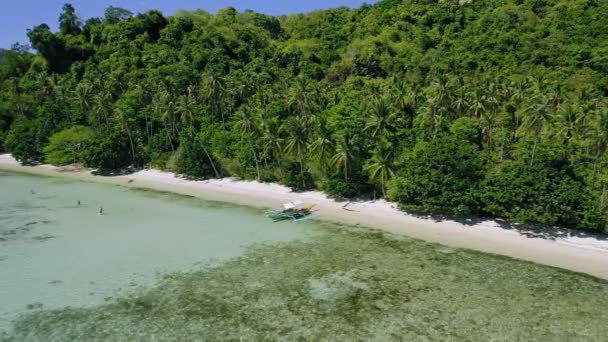 Hindistan Cevizi Palmiyeleriyle Çevrili Tropikal Plajda Sığ Sularda Banka Teknesinin — Stok video