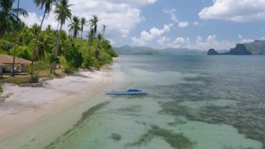 Hava aracı sığ tropik egzotik sahillerin sığ sularında banka teknesine doğru uçuyor. El Nido Palawan Filipinleri 'nde palmiye ağaçları var. Yaz ve seyahat konsepti.