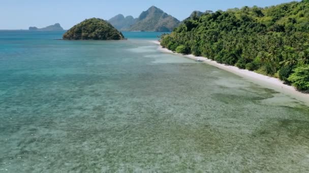 パラダイス トロピカル ビーチに沿って浅い澄んだ水の上を飛行する空中ドローンとココナッツのヤシの木が海の風に揺れるエル パラワン フィリピンを探索 — ストック動画