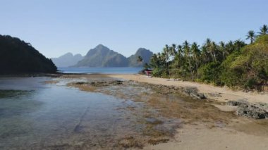 Hindistan cevizi palmiye ağaçlarıyla kaplı alçak dalgalar altında tropikal kumlu sahilde yürüyen plajda uçan el Nido Palawan turistleri.