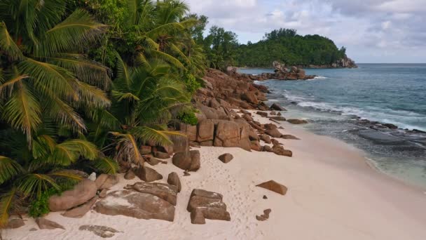 Aerial Drone Still Footage Rocky Tropical Coastline Ocean Waves Palm — Stock Video