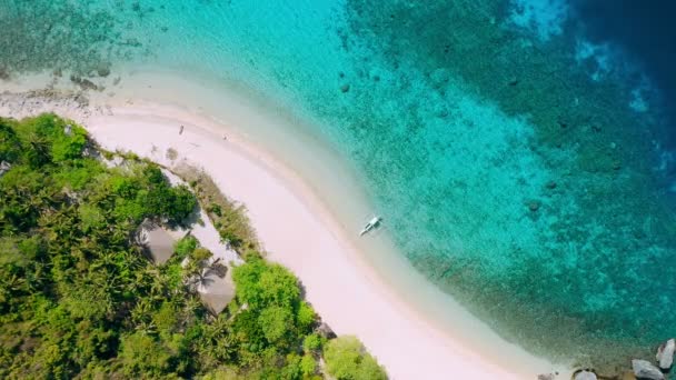 直升机岛上热带海滩的航拍照片 岛上有棕榈树 蓝色泻湖 清澈的海水和珊瑚礁 — 图库视频影像
