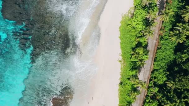 Vuelo Aéreo Hacia Adelante Dron Bizarro Paraíso Tropical Playa Anse — Vídeos de Stock