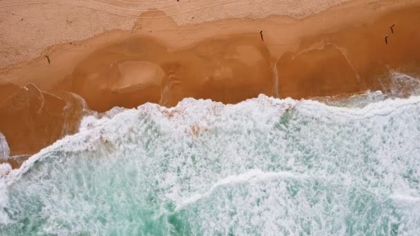 Воздушный Сверху Вниз Вид Волн Катящихся Прекрасному Песчаному Пляжу Дрон — стоковое видео