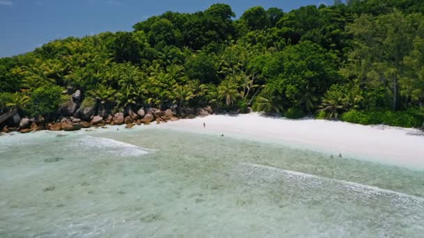 海の浅い白い砂浜とヤシの木の美しいリモートトロピカルパラダイスビーチの空中ビュー デジュ ホワイト サンド ビーチのアンセ ココセイシェルのラ デジュ島 — ストック動画