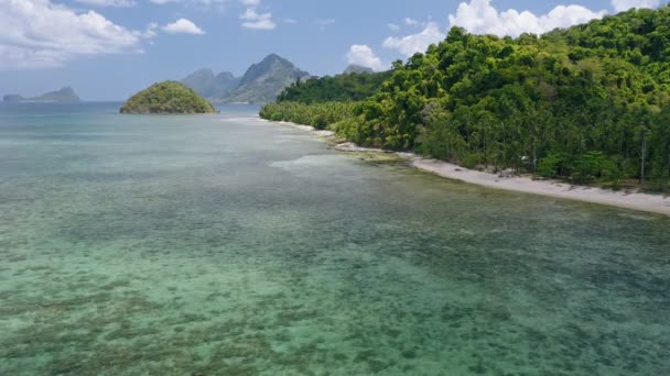 浅い水パラワンフィリピンで多くのヤシの木や古いサンゴとエルニド熱帯ビーチの空中ビュー夏と旅行休暇のコンセプト — ストック動画