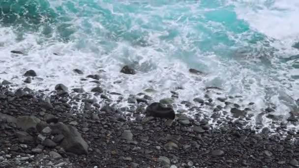 サント アンタオ島の岩の多い海岸線を回転する大西洋の波 ベルデ ケープ — ストック動画