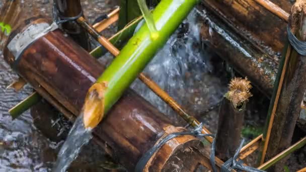 bambusové zavlažování vody přináší vodu z potoka na plantáž detailní záběr bambusu dodávajícího vodu bali asia