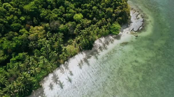 Avión Tripulado Volar Hasta Playa Arena Paraíso Con Palmeras Balanceándose — Vídeos de Stock