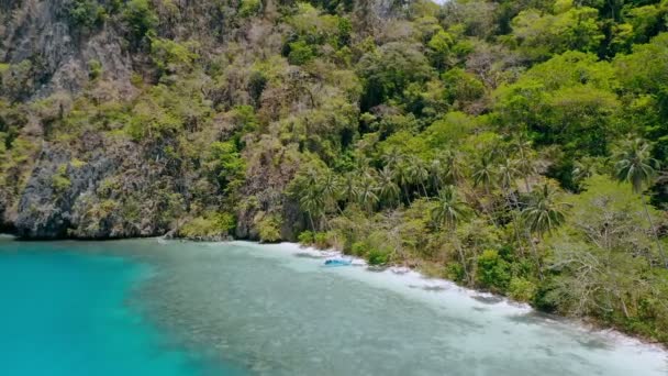 Drone Εναέρια Άποψη Του Απομακρυσμένου Παραδείσου Παραλία Φοίνικες Ταλαντεύεται Στον — Αρχείο Βίντεο