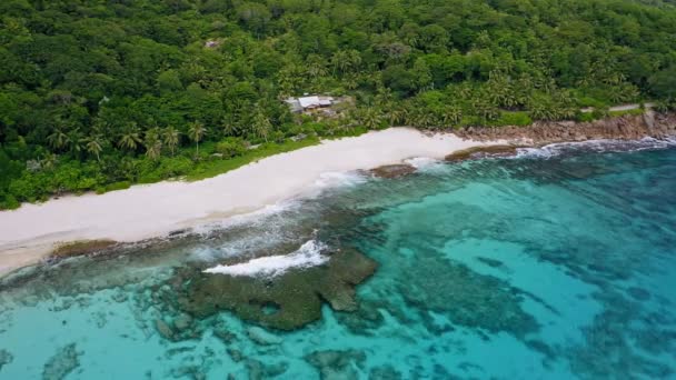 Eeppinen Antenni Drone Kuvamateriaalia Trooppinen Paratiisi Ranta Sijaitsee Mahe Island — kuvapankkivideo