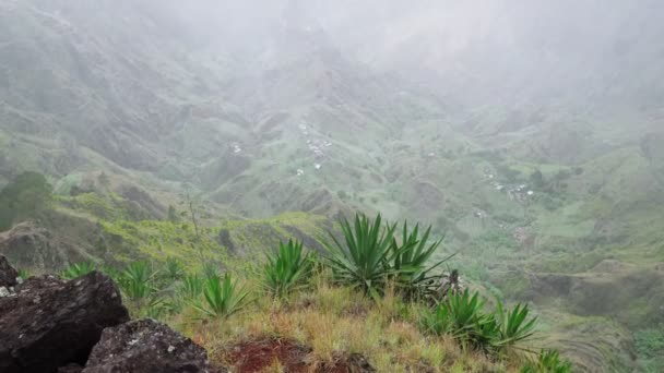 Toz Dağı Yamaçlarındaki Santo Antao Adasının Yemyeşil Manzarası Vadideki Agave — Stok video