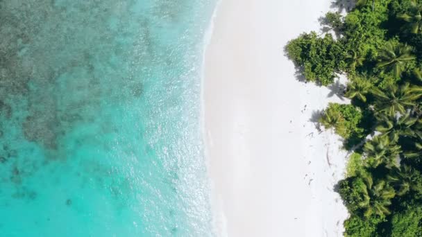 ヤシの木とターコイズブルーのラグーンを持つ熱帯のパラダイス砂浜の海岸線の上の映像運動 — ストック動画
