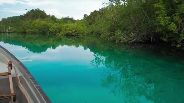 Dold Vik Båt Rör Sig Över Blå Grunt Vatten Mangrove — Stockvideo