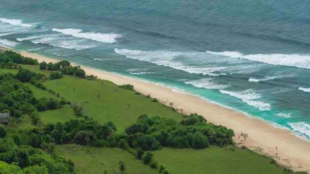 Ocean Waves Rolling Tropikalnej Plaży Piaszczystej — Wideo stockowe