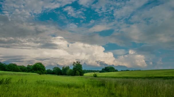 Timelapes Pola Pszenicy Chmury Niebo Germany — Wideo stockowe