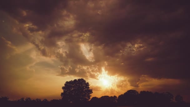 Timelapse Nuvole Movimento Nel Cielo Lunatico Sera Tramonto Quercia Solitaria — Video Stock