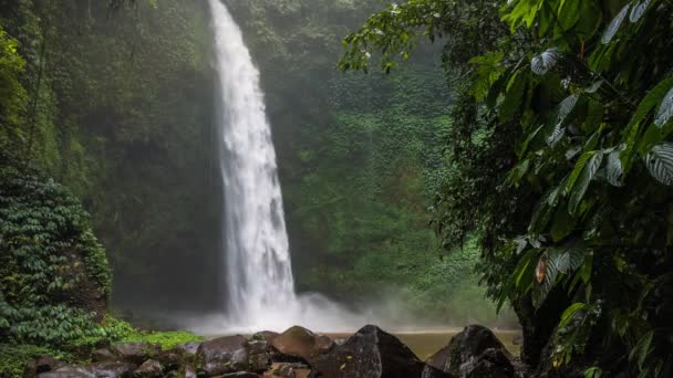 Cachoeira Tropical Exuberante Selva Verde Água Caindo Batendo Superfície Água — Vídeo de Stock