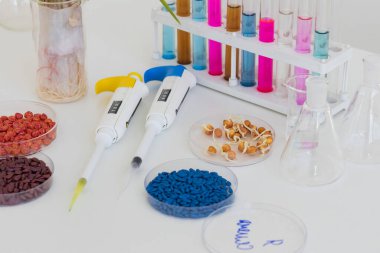 Bitki öldürücü mısır, şekerçiçeği, bir petri kabındaki nohut tohumu ve şeker kutusu ve test tüpleriyle dolu bir masada filizlenmiş tohumlar.