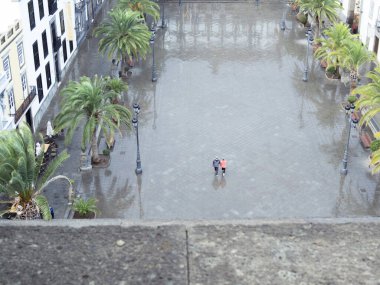 ıslak kare genel görünüm